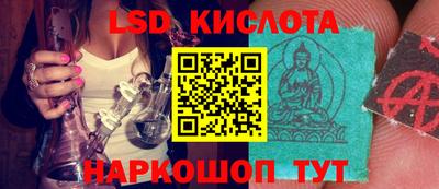 jwh Новозыбков