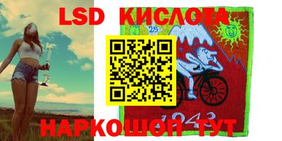 крисы Новодвинск