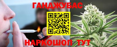 крисы Новодвинск