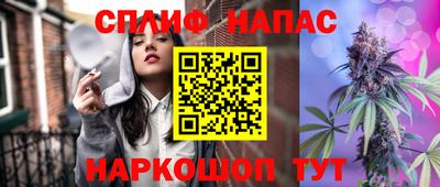 крисы Новодвинск