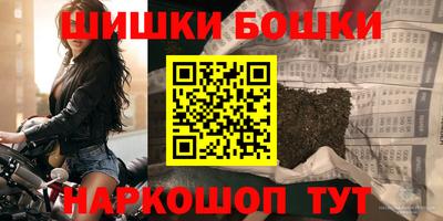 крисы Новодвинск