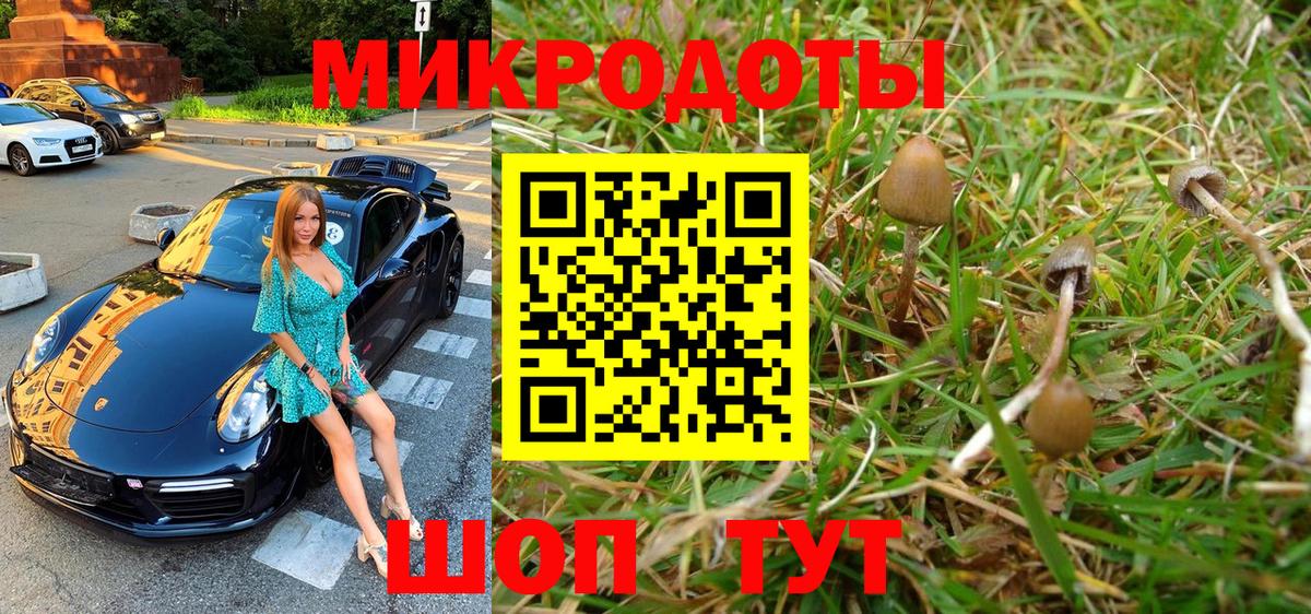 Галлюциногенные грибы MAGIC MUSHROOMS  Псилоцибиновые грибы мицелий  Сочи  Вход с VPN 